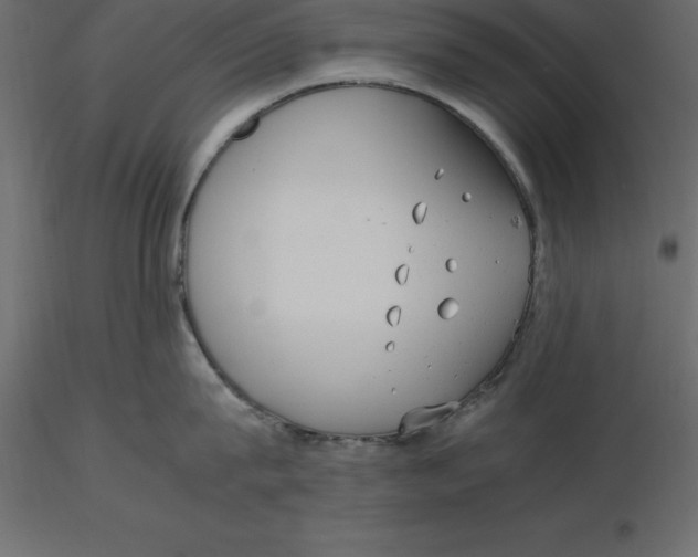 X0000116580815200912312013