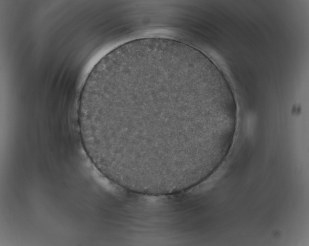 X0000116580816200912312013