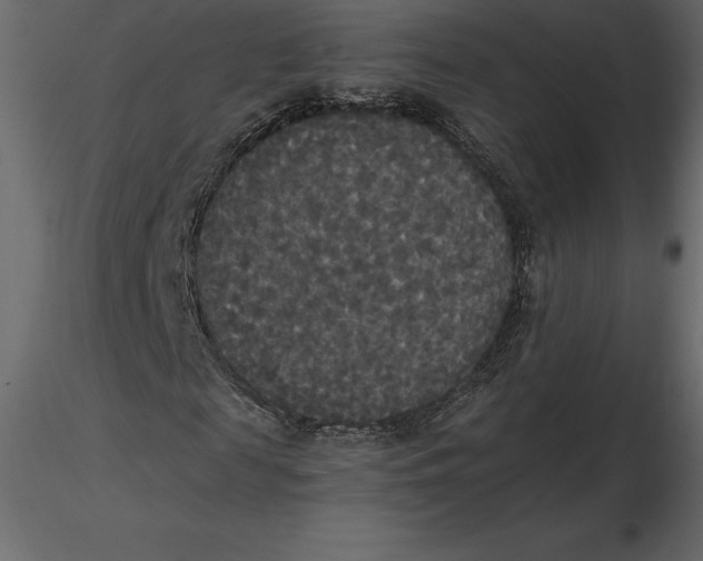 X0000116580817200912312012