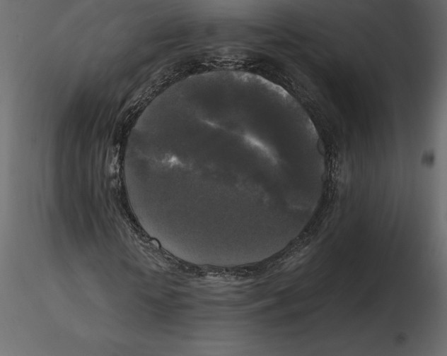 X0000116580818200912312012