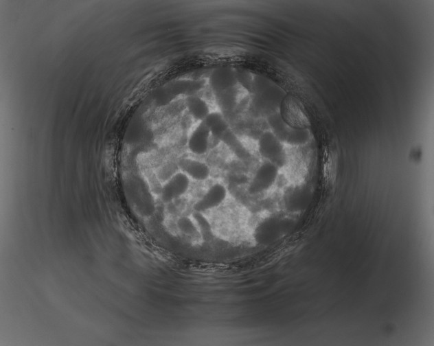 X0000116580819200912312012