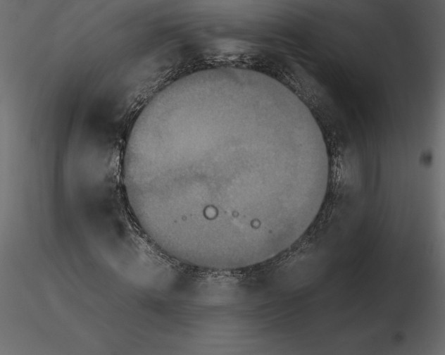 X0000116580820200912312013