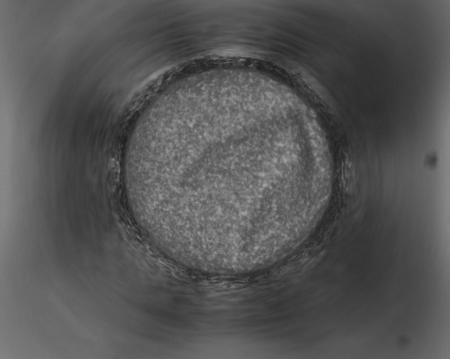 X0000116580821200912312013