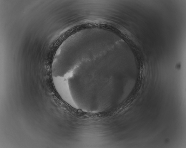 X0000116580822200912312013