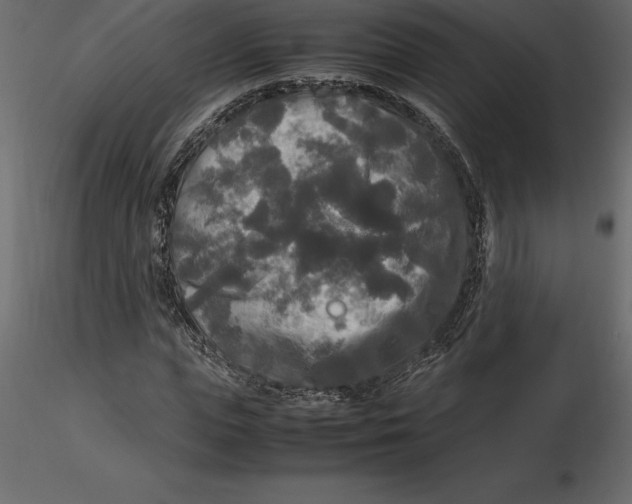 X0000116580823200912312013