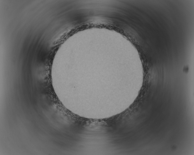 X0000116580824200912312013