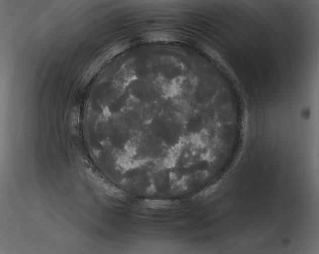 X0000116580825200912312013