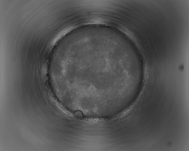 X0000116580826200912312013