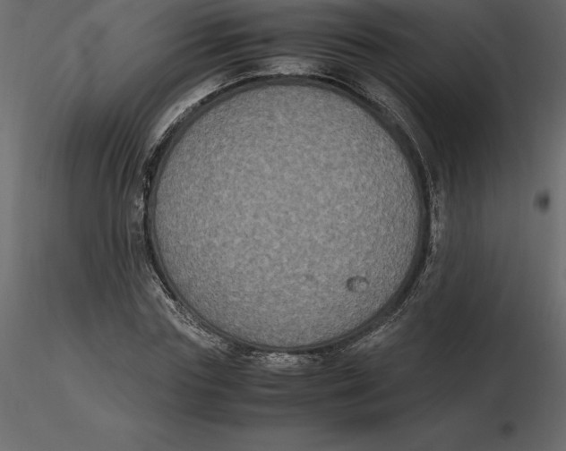 X0000116580827200912312013