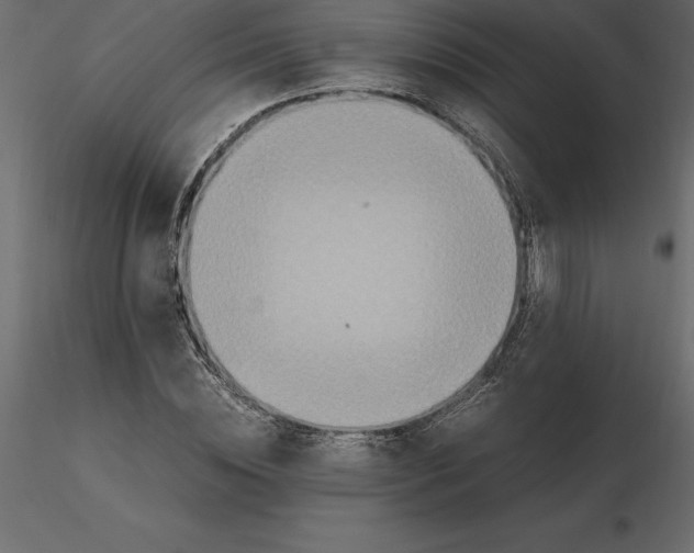 X0000116580828200912312013