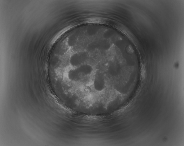 X0000116580829200912312013