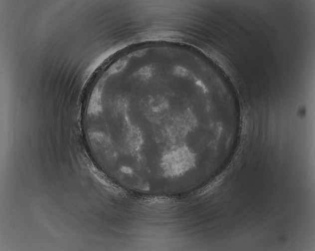 X0000116580830200912312013