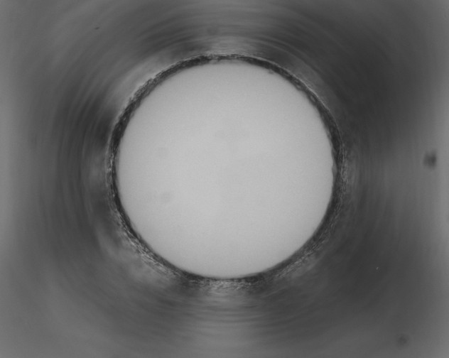 X0000116580832200912312013