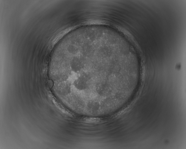 X0000116580833200912312013