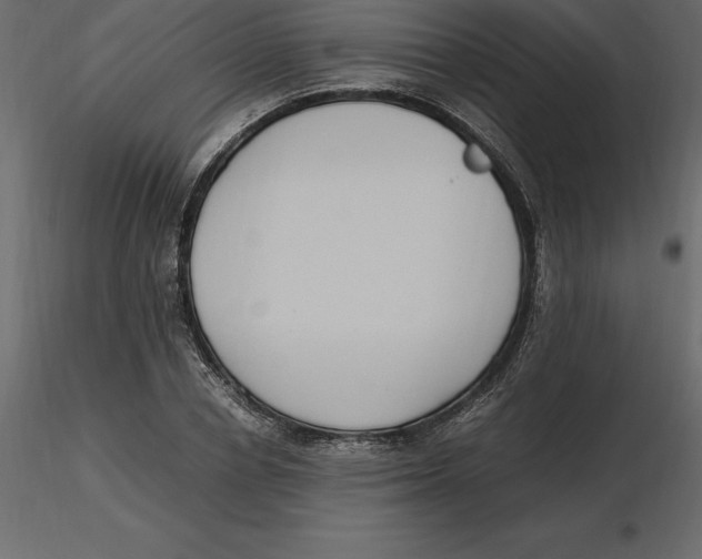 X0000116580834200912312013