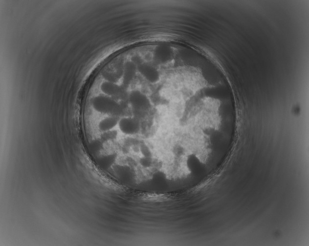 X0000116580835200912312013