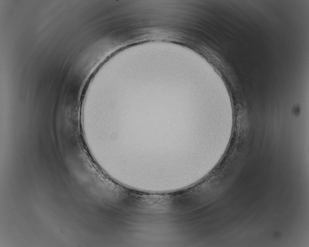 X0000116580836200912312013