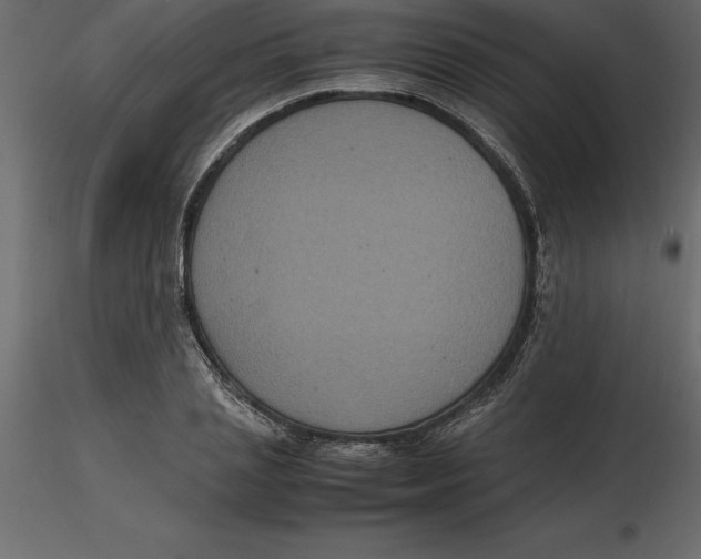 X0000116580837200912312013