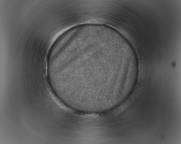 X0000116580838200912312013