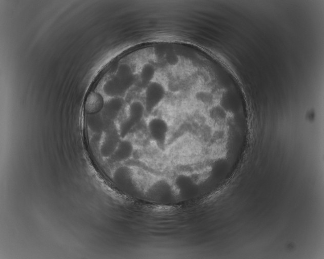 X0000116580839200912312013