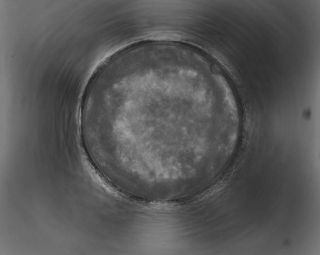 X0000116580840200912312013