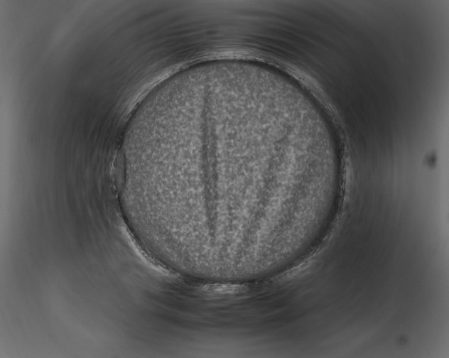 X0000116580841200912312013