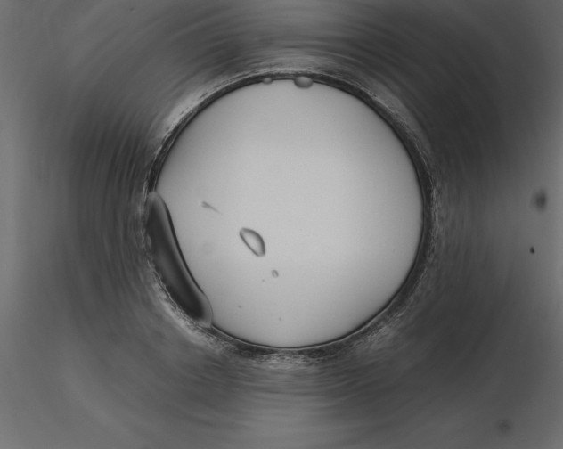 X0000116580842200912312013