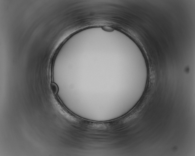 X0000116580843200912312013