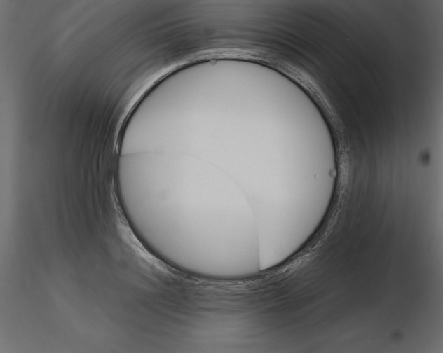 X0000116580844200912312013