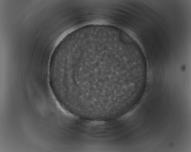 X0000116580845200912312013