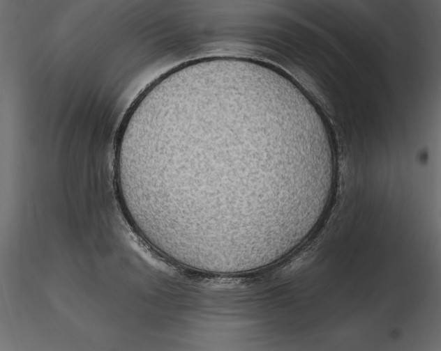 X0000116580846200912312013