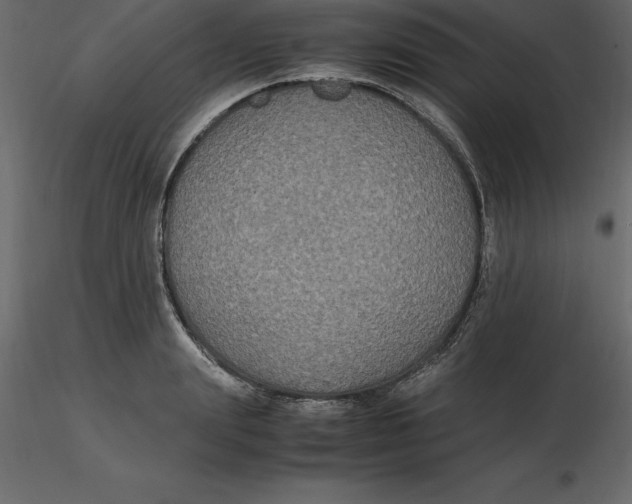 X0000116580847200912312013