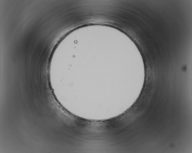 X0000116580848200912312013