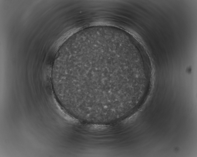 X0000116580849200912312013