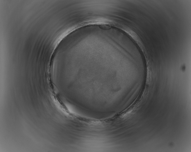 X0000116580850200912312013