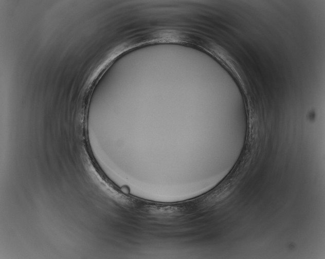 X0000116580851200912312013