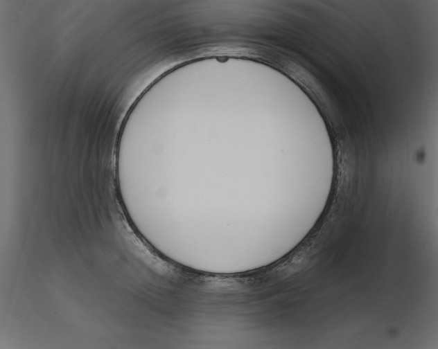 X0000116580852200912312013