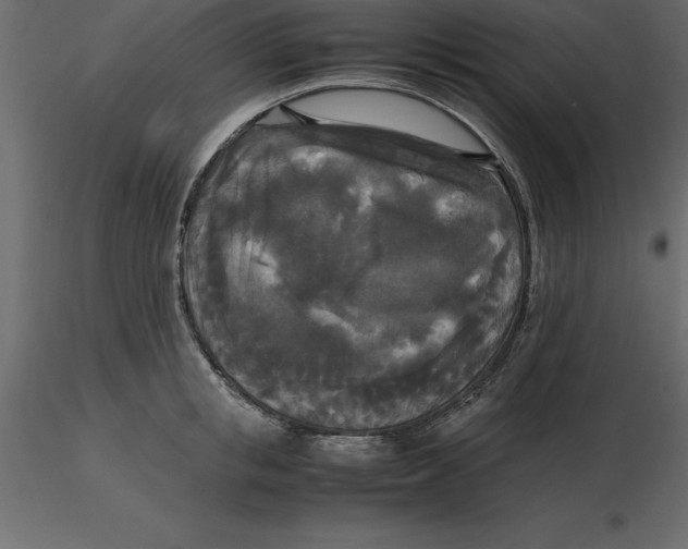 X0000116580853200912312013