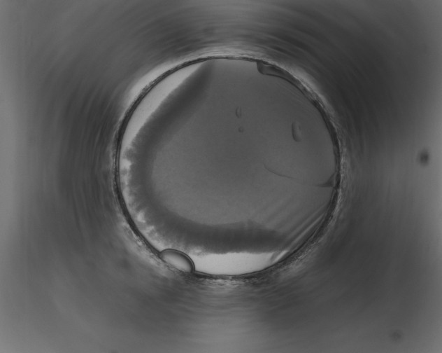 X0000116580854200912312013