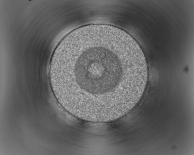 X0000116580856200912312013