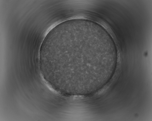 X0000116580858200912312013