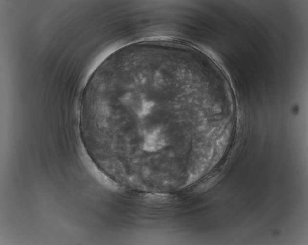 X0000116580859200912312013