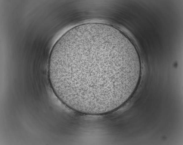 X0000116580860200912312013