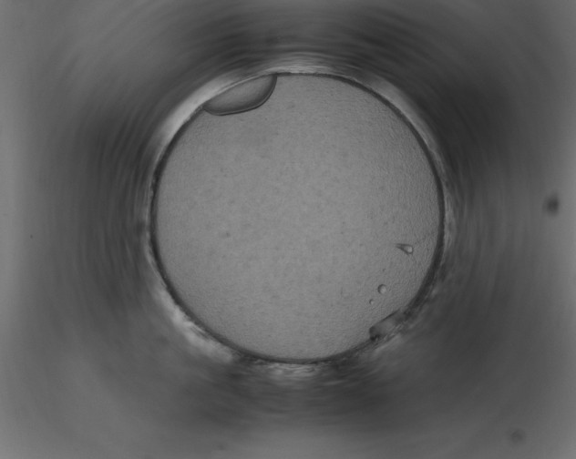 X0000116580861200912312013