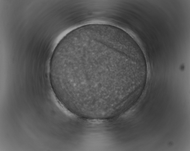 X0000116580862200912312013