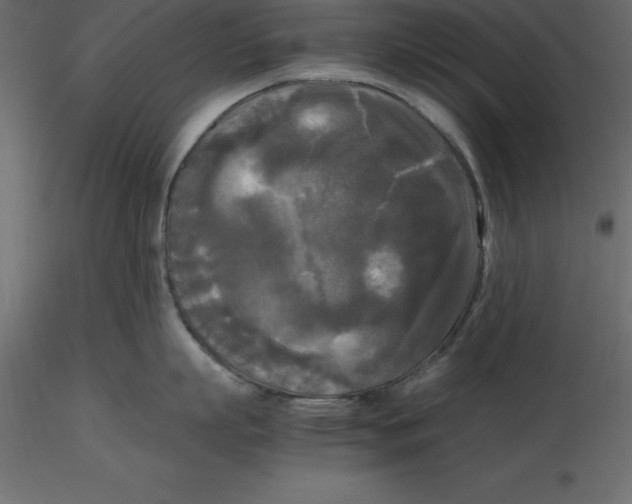 X0000116580863200912312013