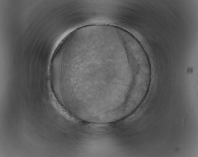 X0000116580864200912312013