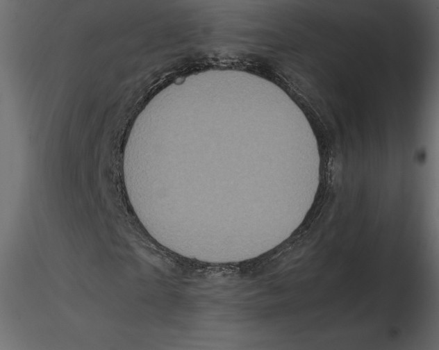 X0000116580865200912312012