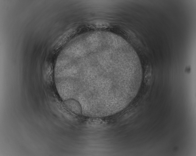 X0000116580866200912312012