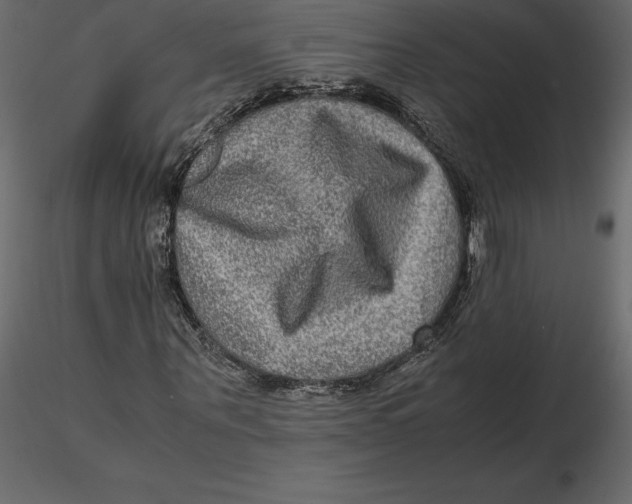 X0000116580867200912312012